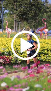 BIB:  <button type="button" onclick="openModal(27588440)" class="btn btn-primary btn-sm float-right" data-toggle="modal" data-target=".modal-high-quality">
                <i class="fa fa-download"></i> Download
                </button>